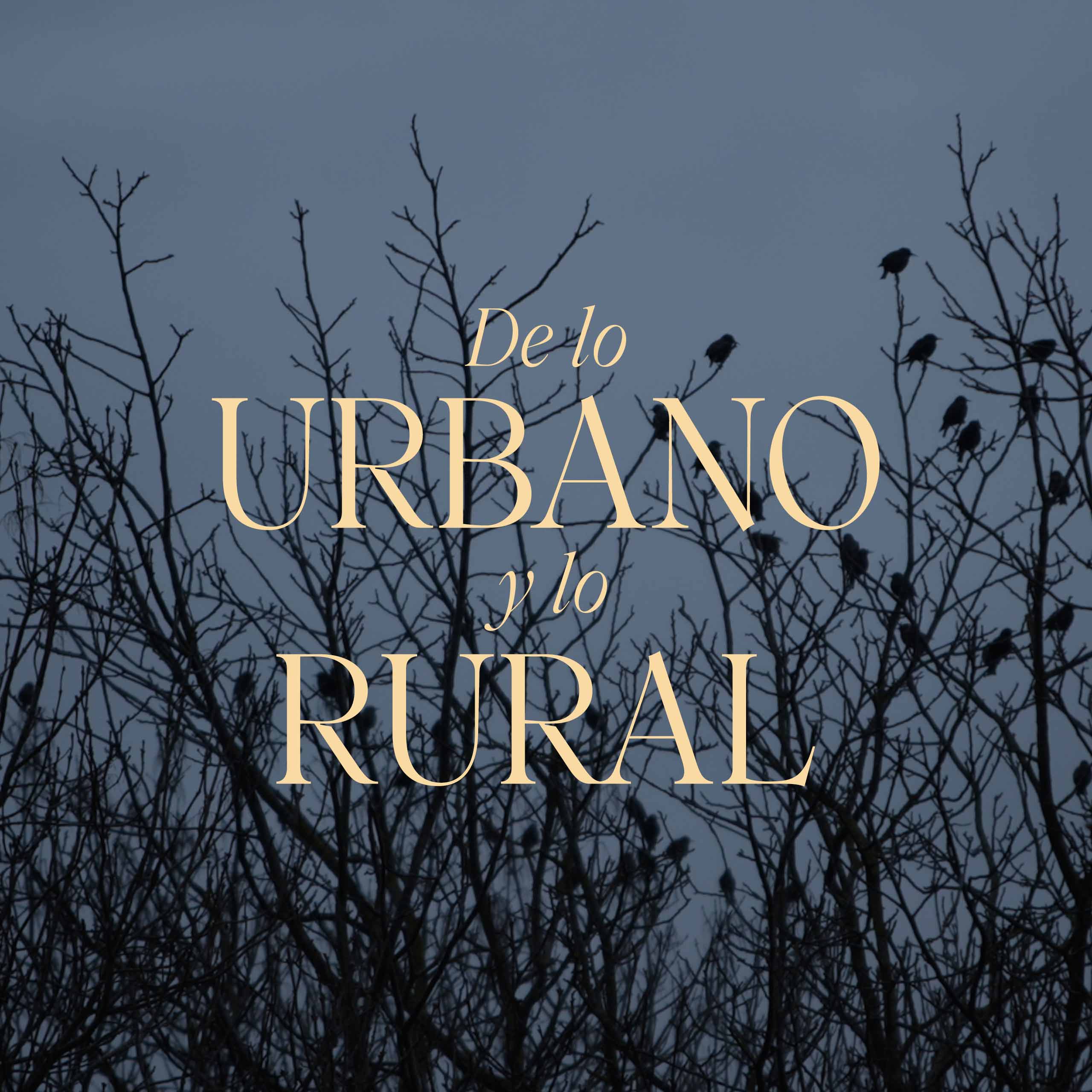 Ir a De lo urbano y lo rural