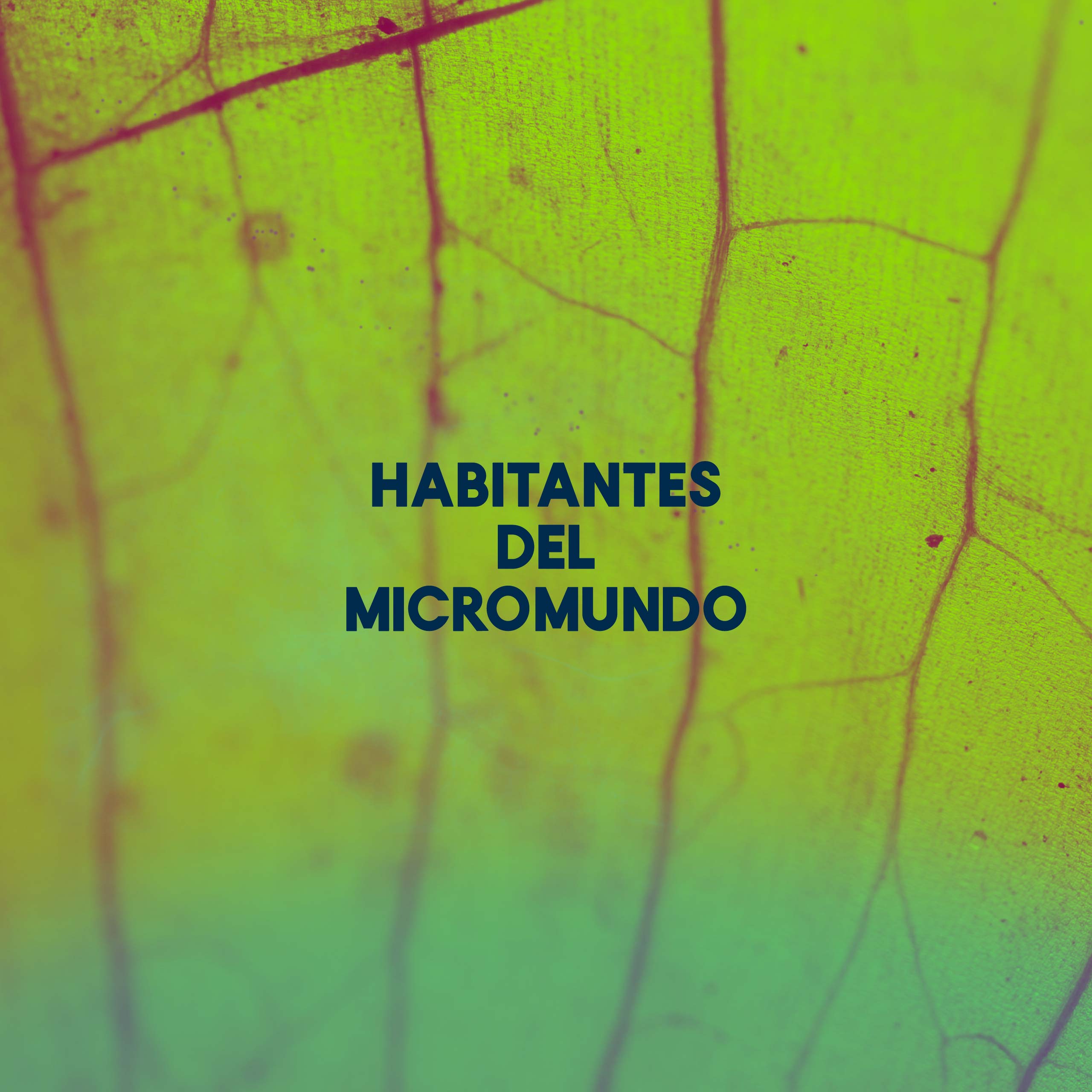 Ir a Habitantes del micromundo