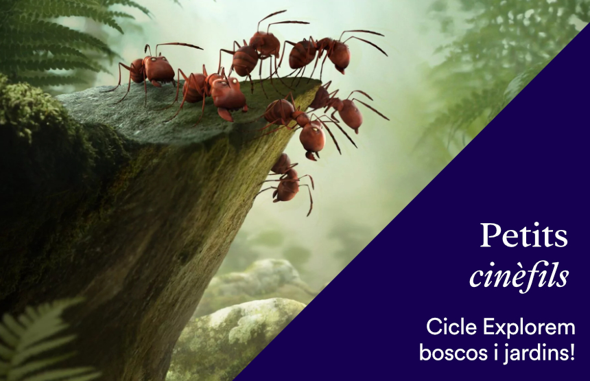 Activitat  de l'exposició la botànica en l’art. les plantes a les col·leccions del museo del prado i del cicle petits cinèfils