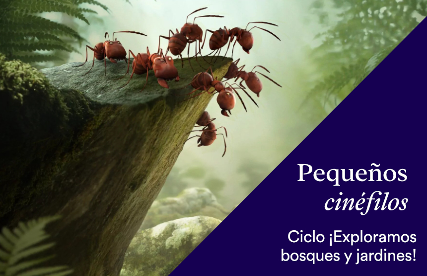 Actividad de la exposición la botánica en el arte. las plantas en las colecciones del museo del prado y del ciclo pequeños cinéfilos