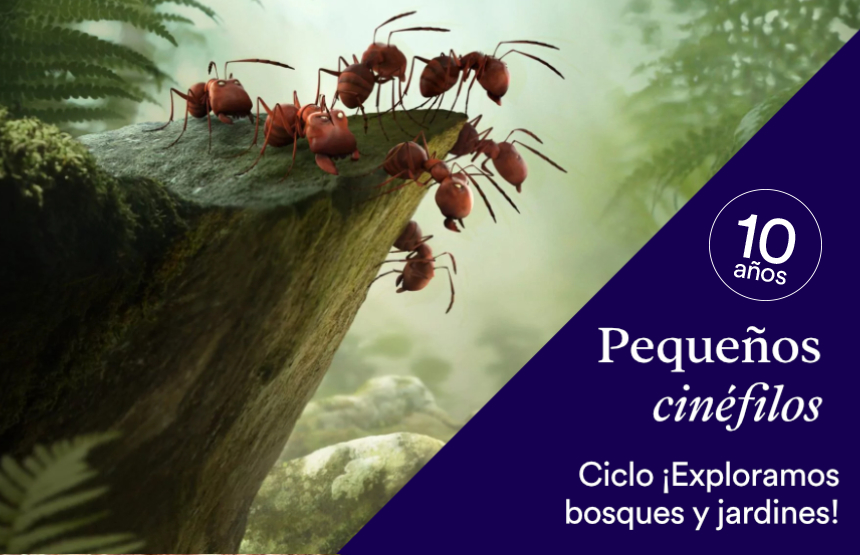 Actividad de la exposición la botánica en el arte. las plantas en las colecciones del museo del prado y del ciclo pequeños cinéfilos