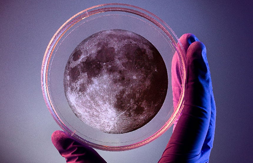 La Noche de la Investigación
