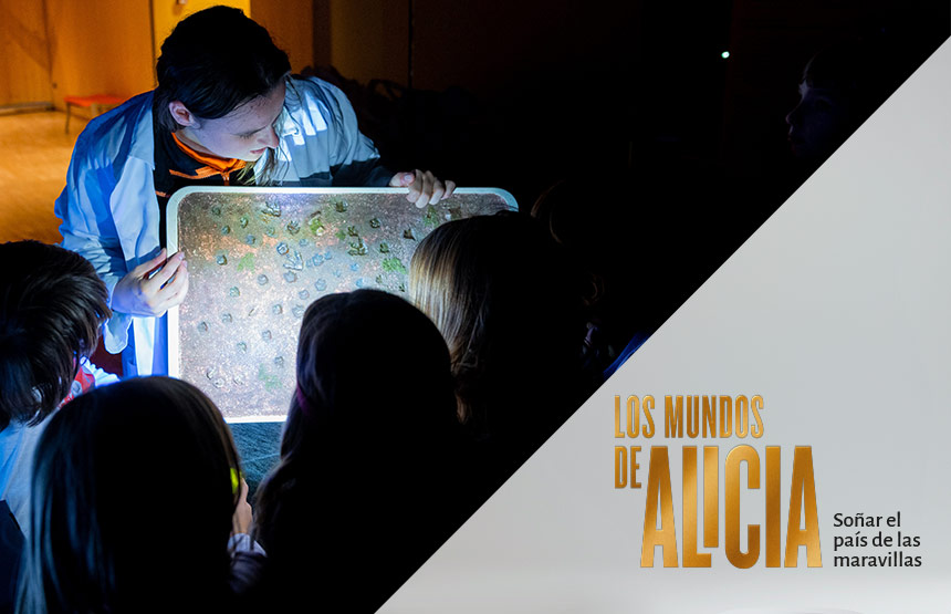 Actividad de la exposición los mundos de alicia. soñar el país de las maravillas