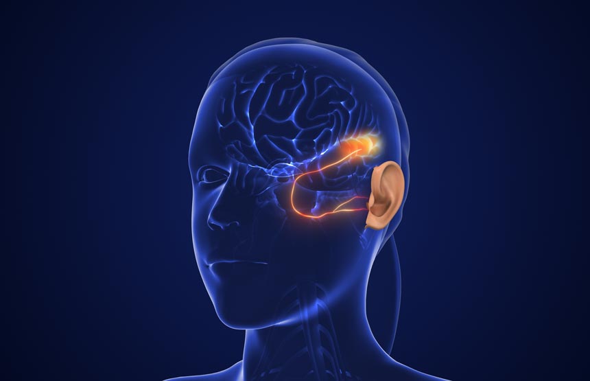 Activitat  del cicle el cervell a través dels sentits