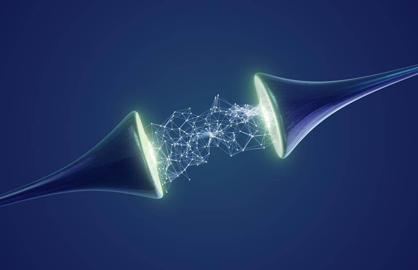 El cerebro a través de los sentidos