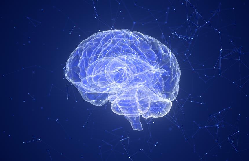 Activitat  del cicle el cervell a través dels sentits