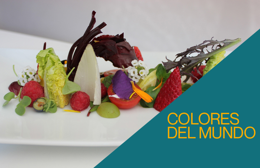 Actividad de la exposición colores del mundo