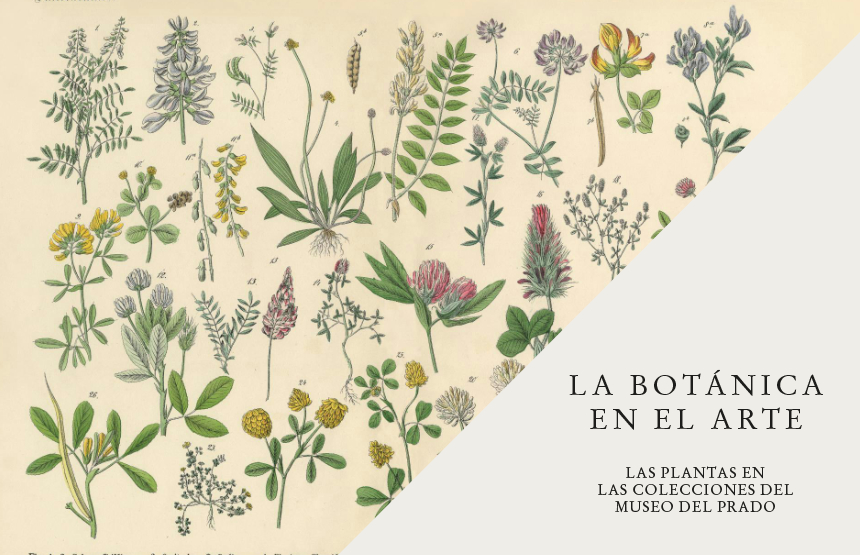Cartografías del mundo vegetal. Entre el arte, la ciencia y la experiencia