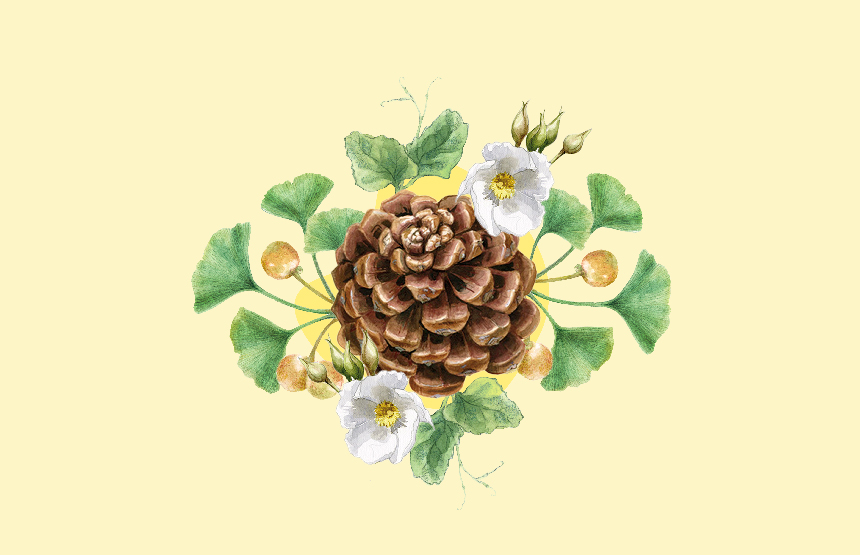 Actividad del ciclo talleres de ilustración científica en familia