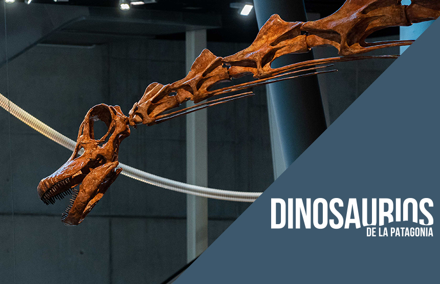 Actividad de la exposición dinosaurios de la patagonia
