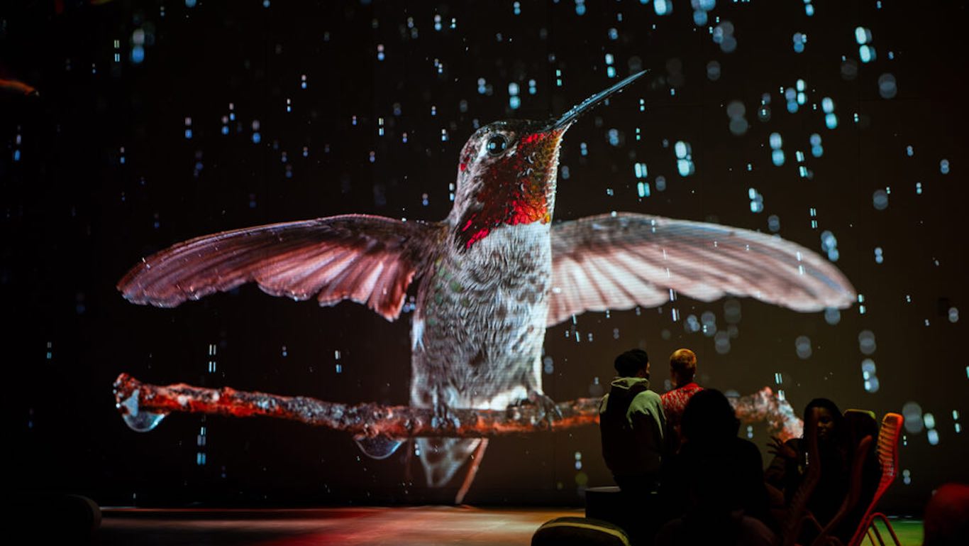 Actividad de la exposición somos naturaleza. una experiencia audiovisual inmersiva