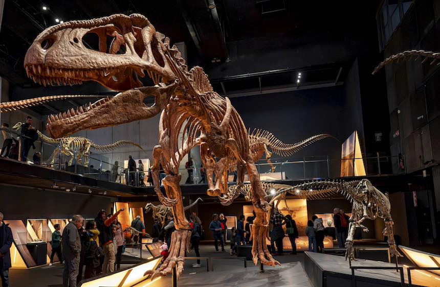 Actividad de la exposición dinosaurios de la patagonia