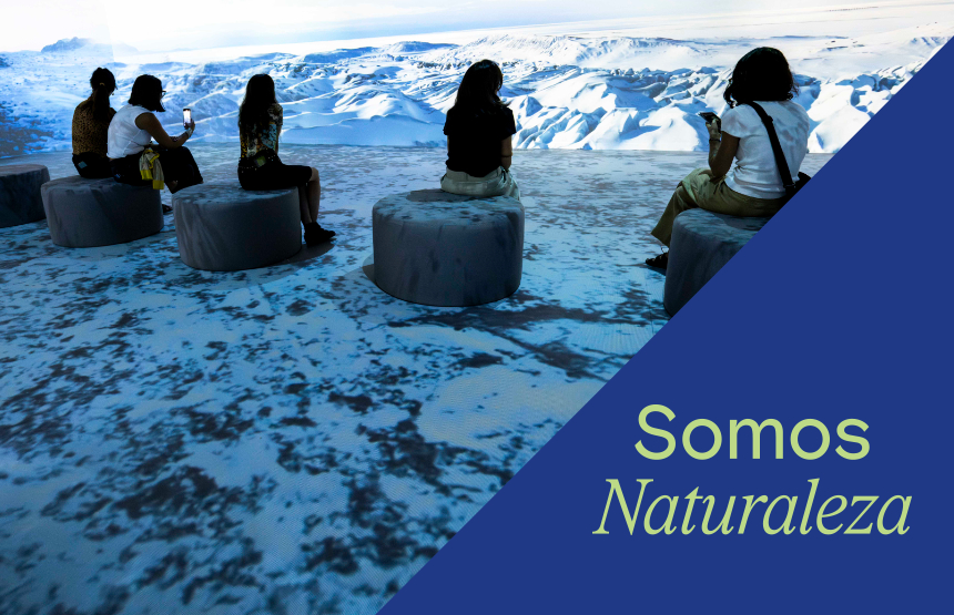 Actividad de la exposición somos naturaleza. una experiencia audiovisual inmersiva