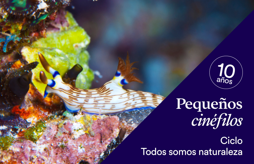 Actividad de la exposición somos naturaleza. una experiencia audiovisual inmersiva y del ciclo pequeños cinéfilos