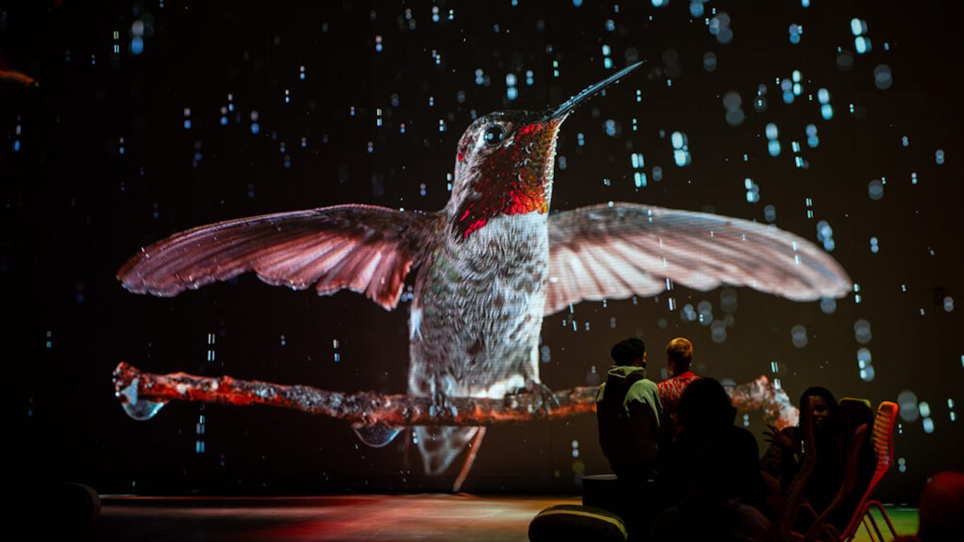 Actividad de la exposición somos naturaleza. una experiencia audiovisual inmersiva