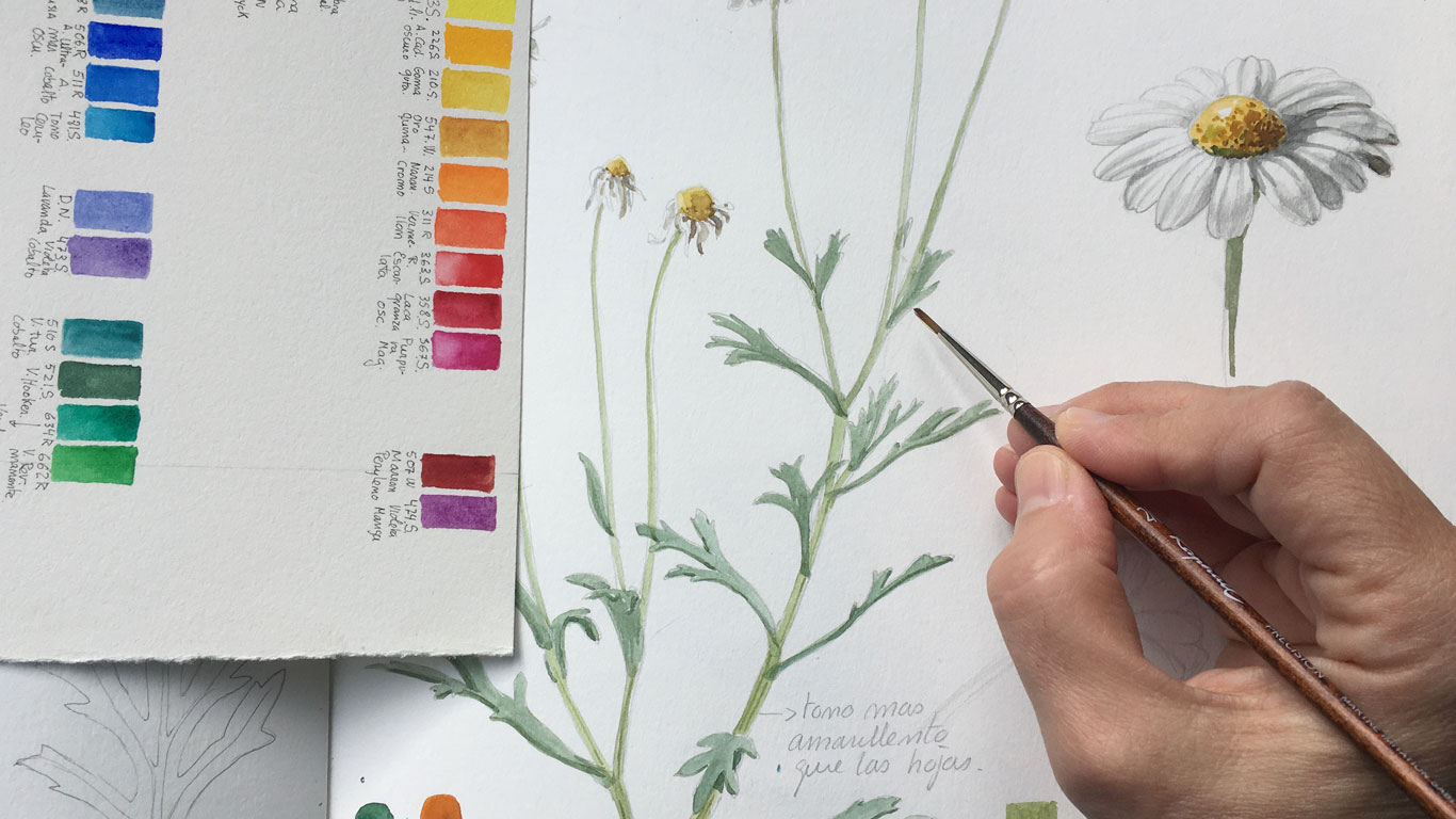 Actividad del ciclo talleres escolares de ilustración científica