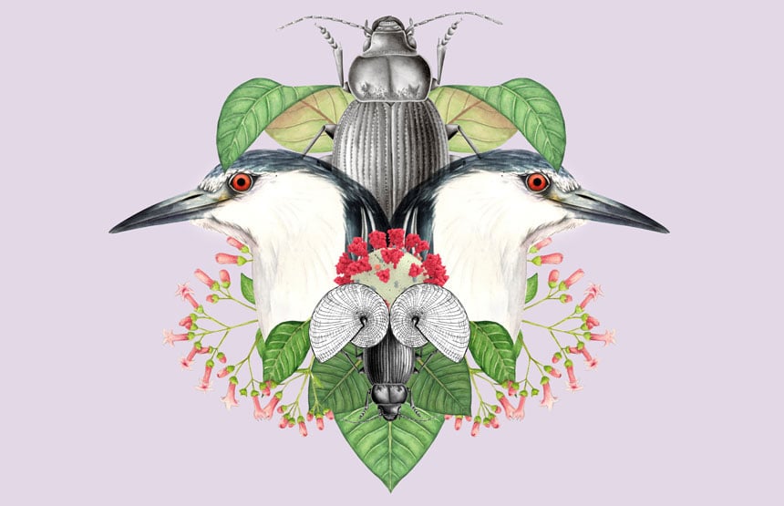 Talleres escolares de ilustración científica