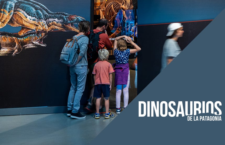 Actividad de la exposición dinosaurios de la patagonia