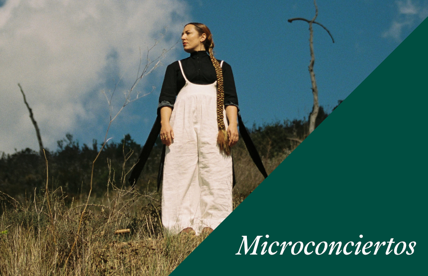 Actividad del ciclo microconciertos