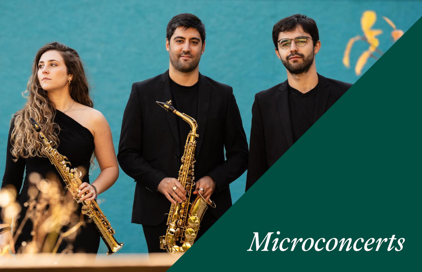 Activitat  del cicle microconcerts