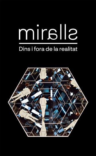 Miralls, dins i fora de la realitat
