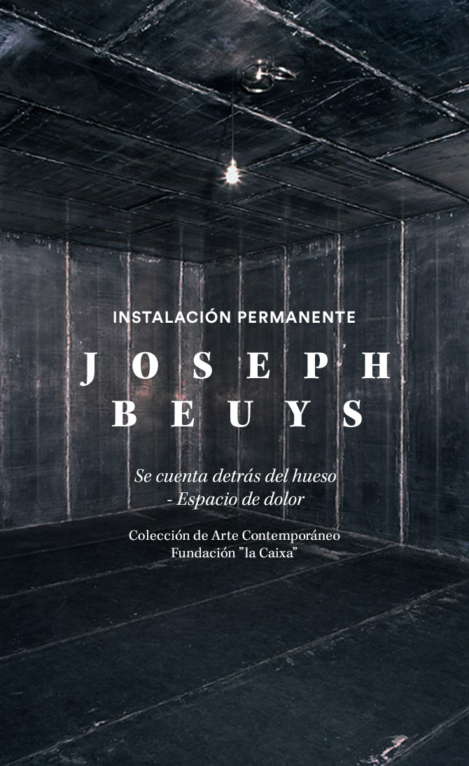 Exposición Joseph Beuys. Instalación permanente