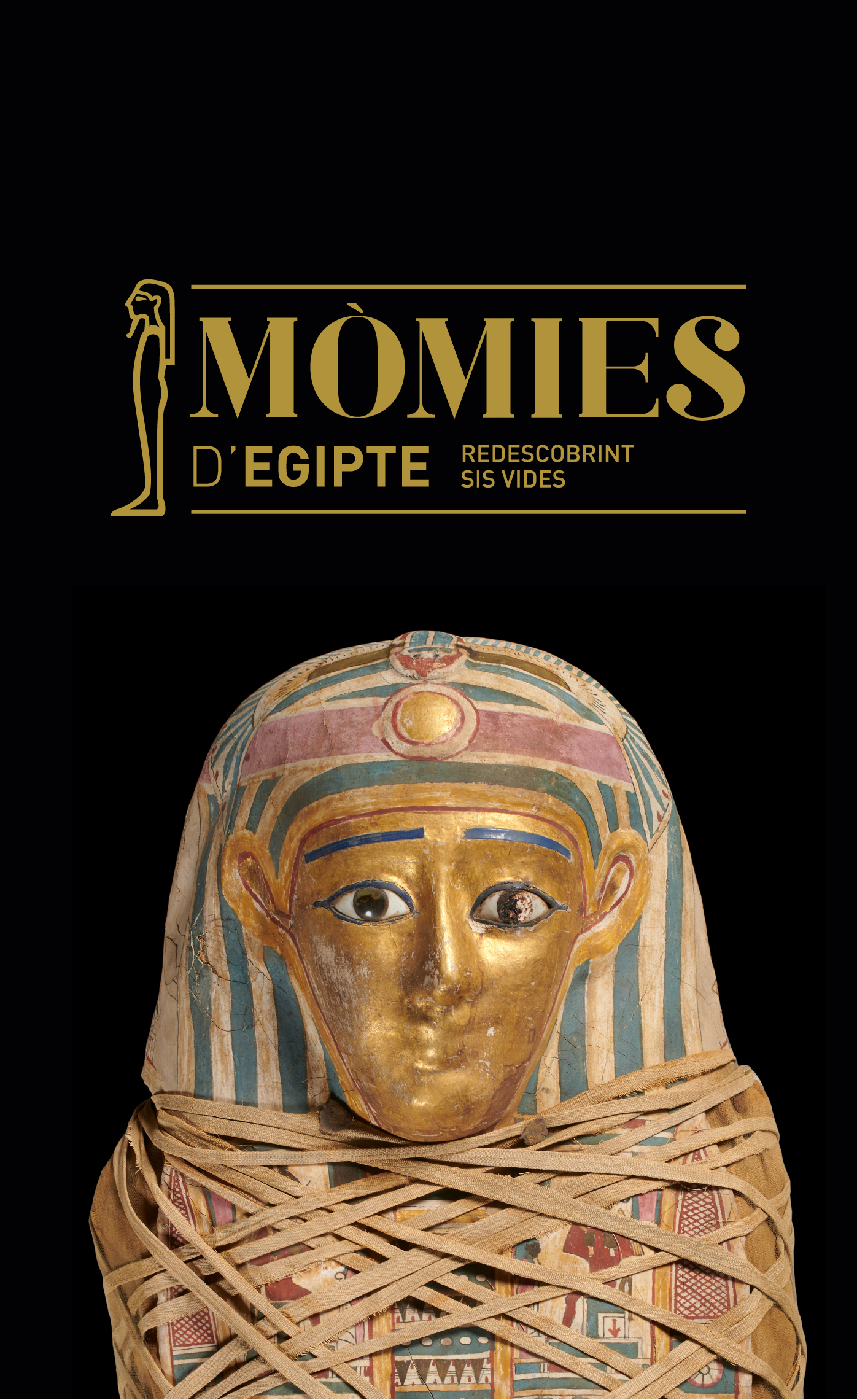 Mòmies de l’antic Egipte. Redescobrint sis vides