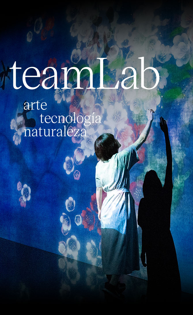 teamLab. Arte, tecnología y naturaleza