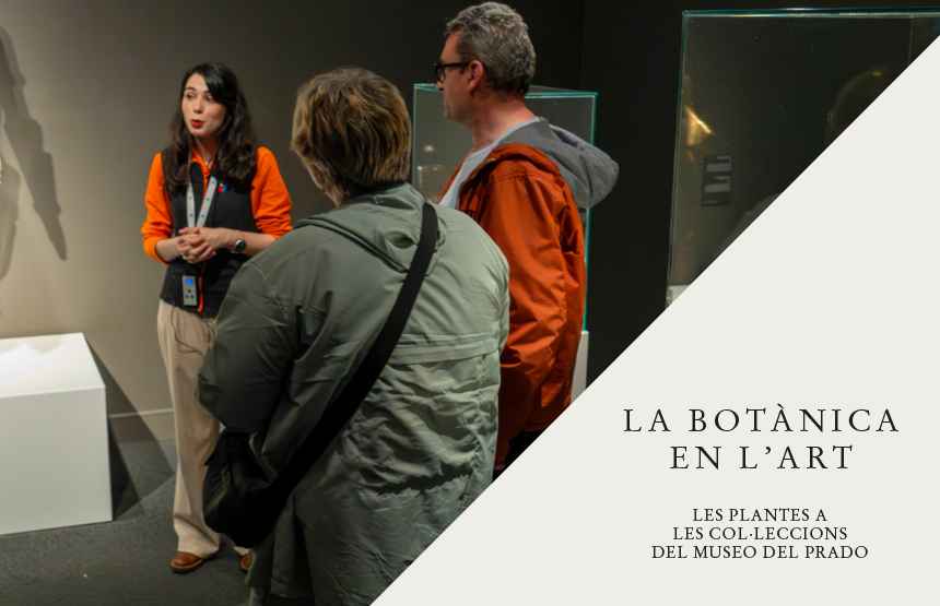 Activitat  de l'exposició la botànica en l’art. les plantes a les col·leccions del museo del prado