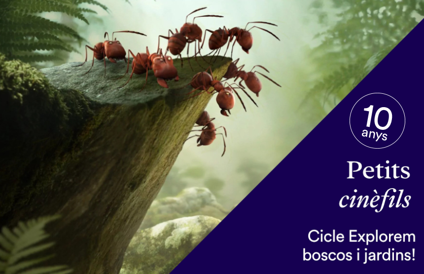 Activitat  de l'exposició la botànica en l’art. les plantes a les col·leccions del museo del prado i del cicle petits cinèfils