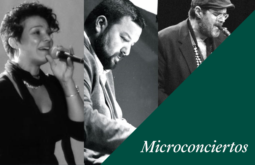 Actividad del ciclo microconciertos