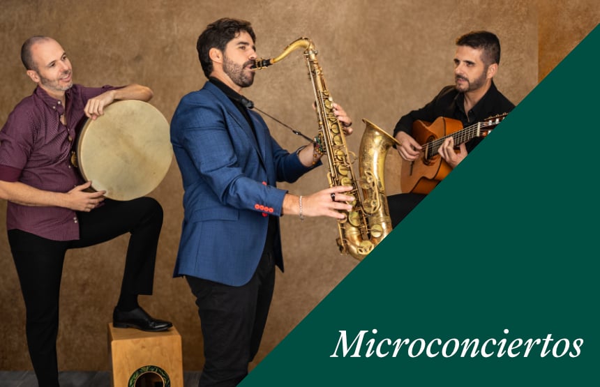Actividad del ciclo microconciertos