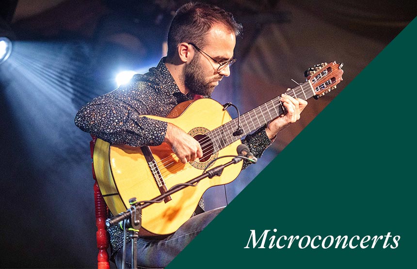 Activitat  del cicle microconcerts