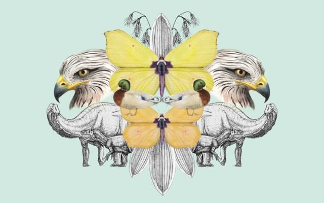 Talleres de ilustración científica en familia