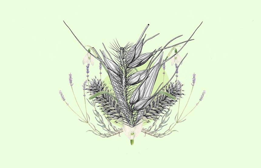 Actividad del ciclo talleres de ilustración científica