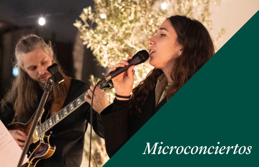 Actividad del ciclo microconciertos