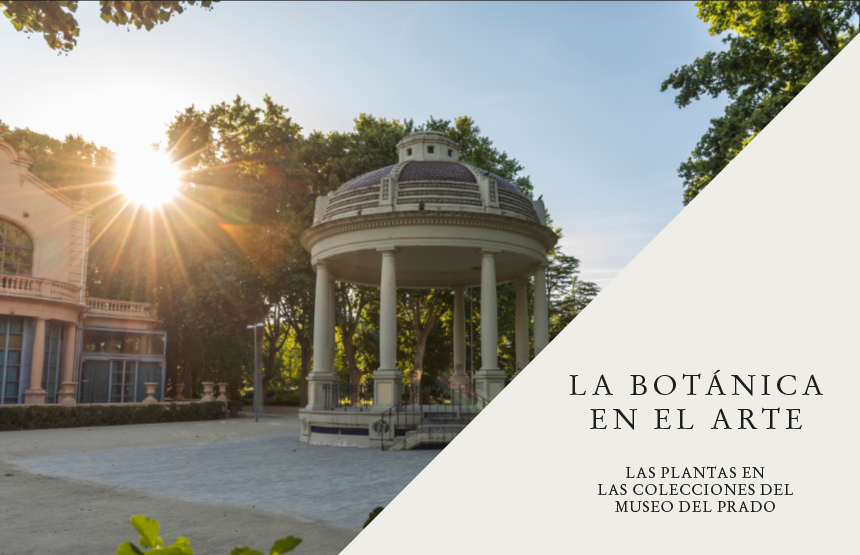 Actividad de la exposición la botánica en el arte. las plantas en las colecciones del museo del prado y del ciclo cultivar la mirada. entre el arte, la ciencia y la experiencia