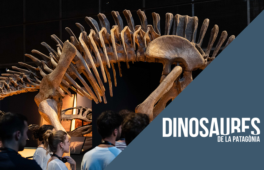 Activitat  de l'exposició dinosaures de la patagònia