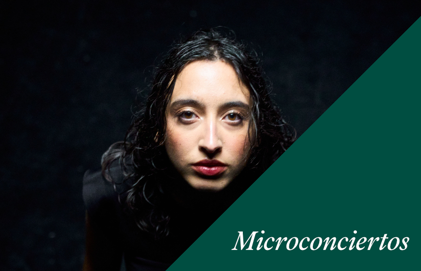 Actividad del ciclo microconciertos
