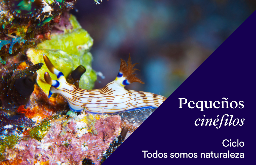 Actividad de la exposición somos naturaleza. una experiencia audiovisual inmersiva y del ciclo pequeños cinéfilos