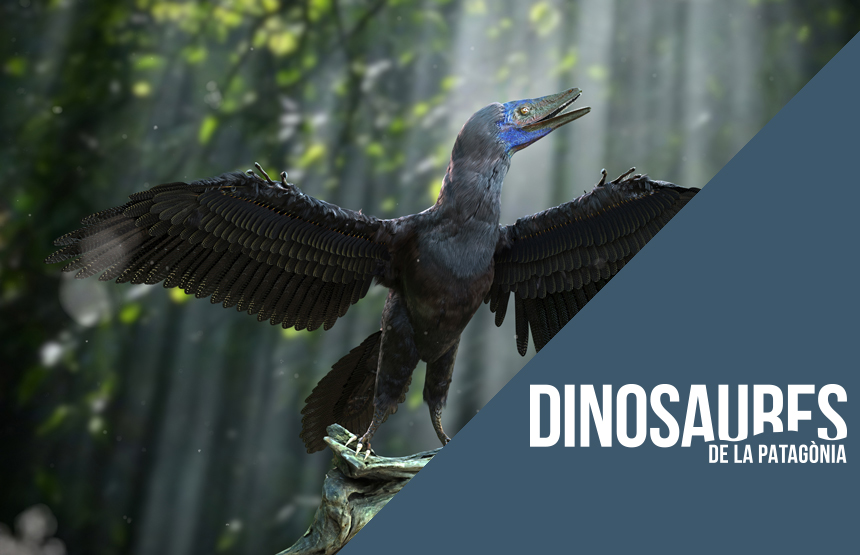 Activitat  de l'exposició dinosaures de la patagònia i del cicle terra de gegants