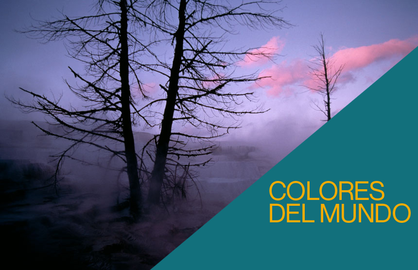 Actividad de la exposición colores del mundo