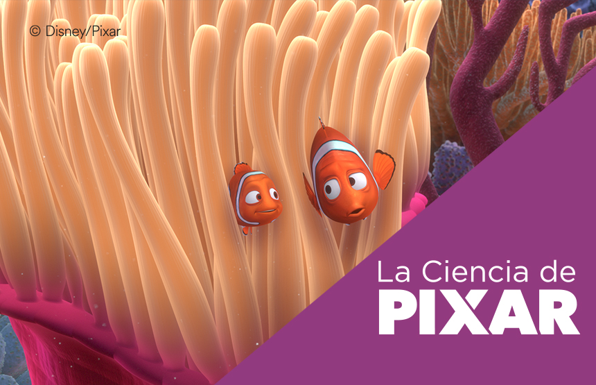 Actividad de la exposición la ciencia de pixar