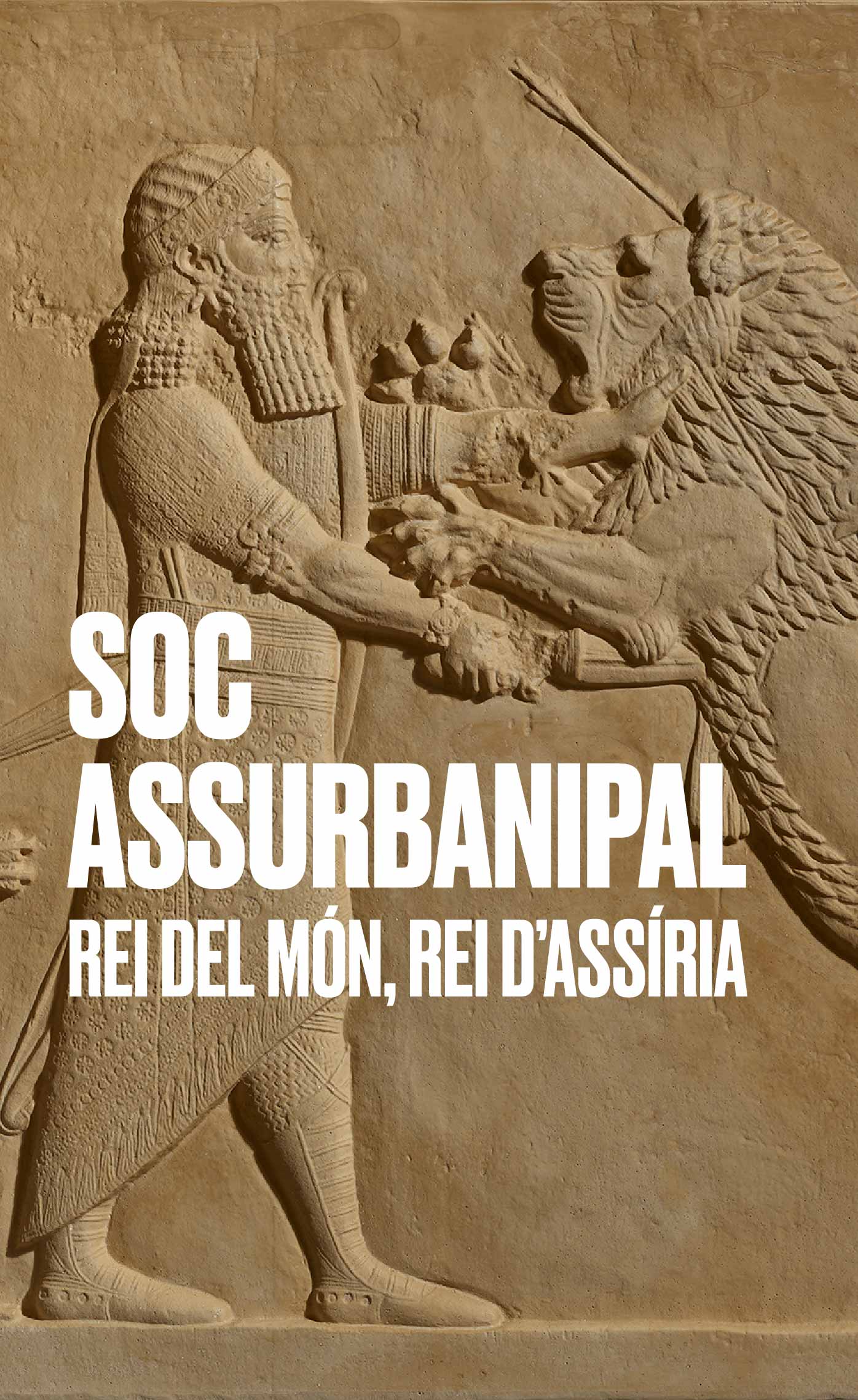 Soc Assurbanipal, rei del món, rei d’Assíria