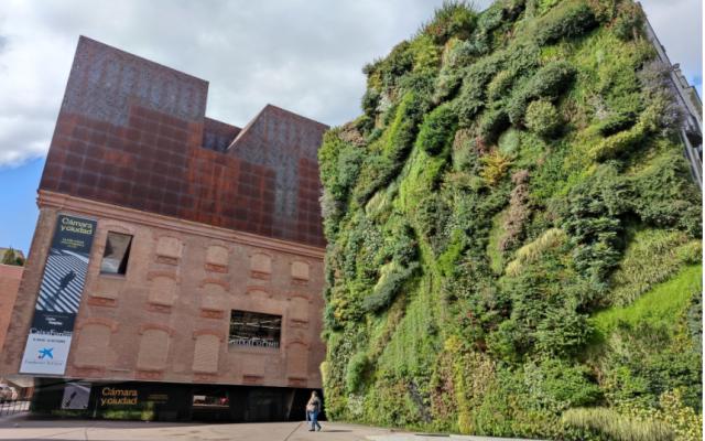 Visita comentada: conoce CaixaForum Madrid