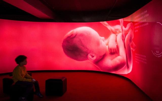 Visita dinamitzada a Talking Brains