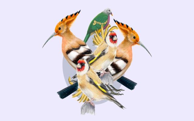 Las aves