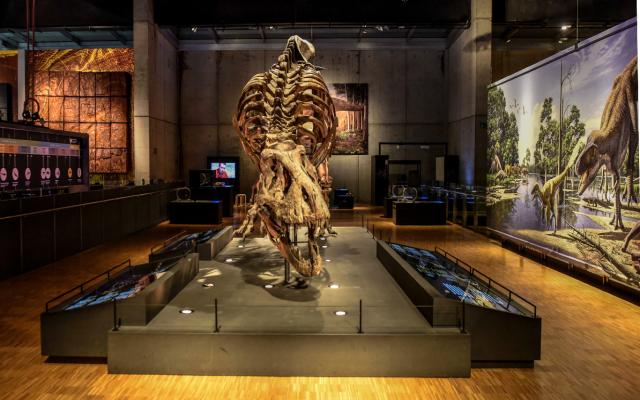 Visita comentada a “Dinosaurios de la Patagonia”
