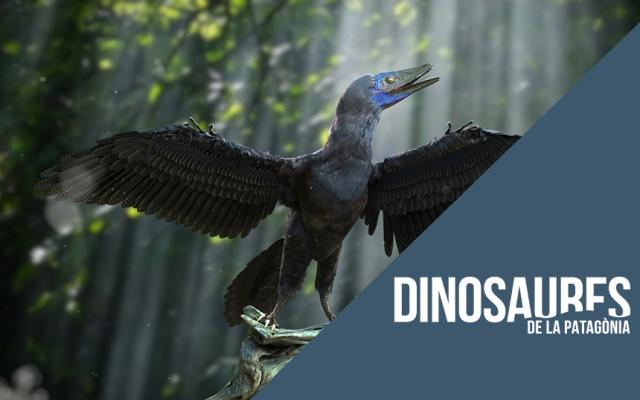 Activitat  de l'exposició dinosaurios de la patagonia i del cicle tierra de gigantes