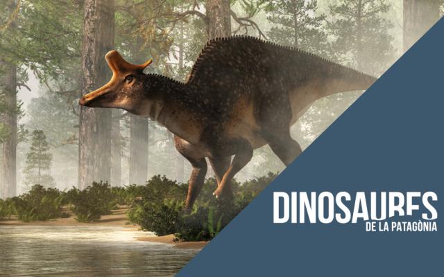 Activitat  de l'exposició dinosaurios de la patagonia i del cicle tierra de gigantes